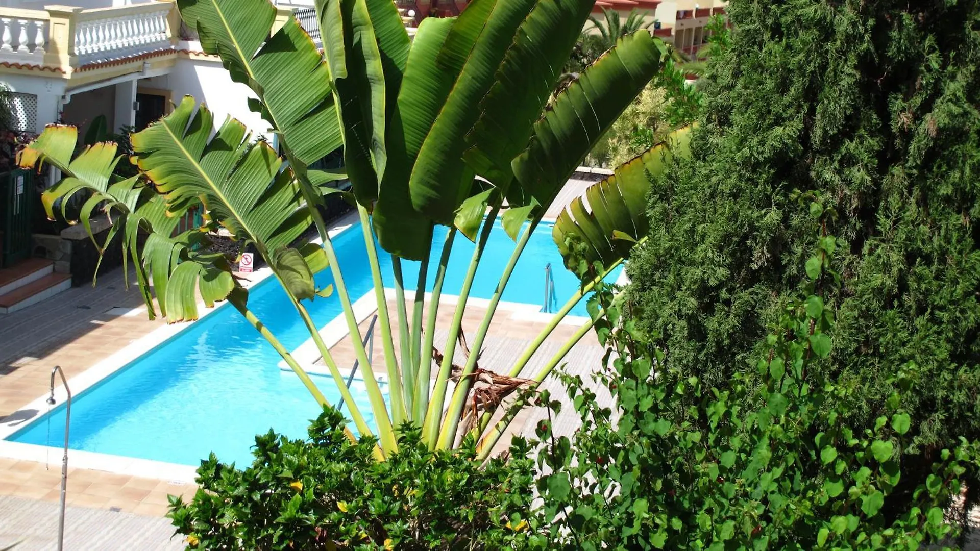 Cozy Apartment Wi-Fi Gratis Costa Adeje  0*, Costa Adeje (Tenerife) Spain
