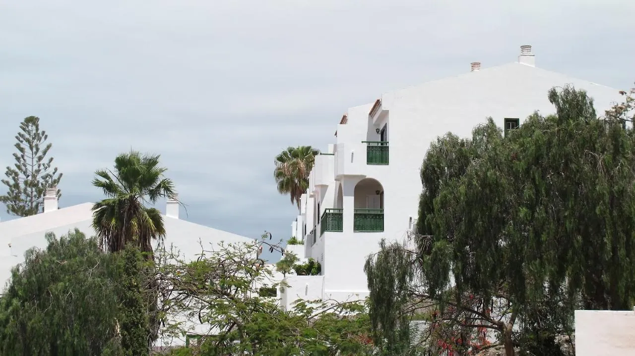Cozy Apartment Wi-Fi Gratis Costa Adeje   Costa Adeje (Tenerife)